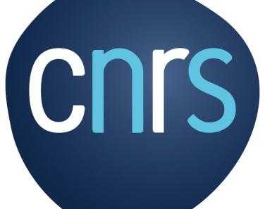 Logo CNRS couleurs