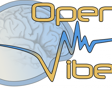Open ViBE