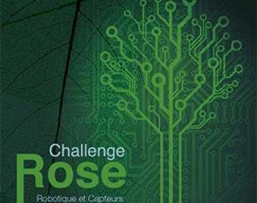 Challenge Rose-BipBip